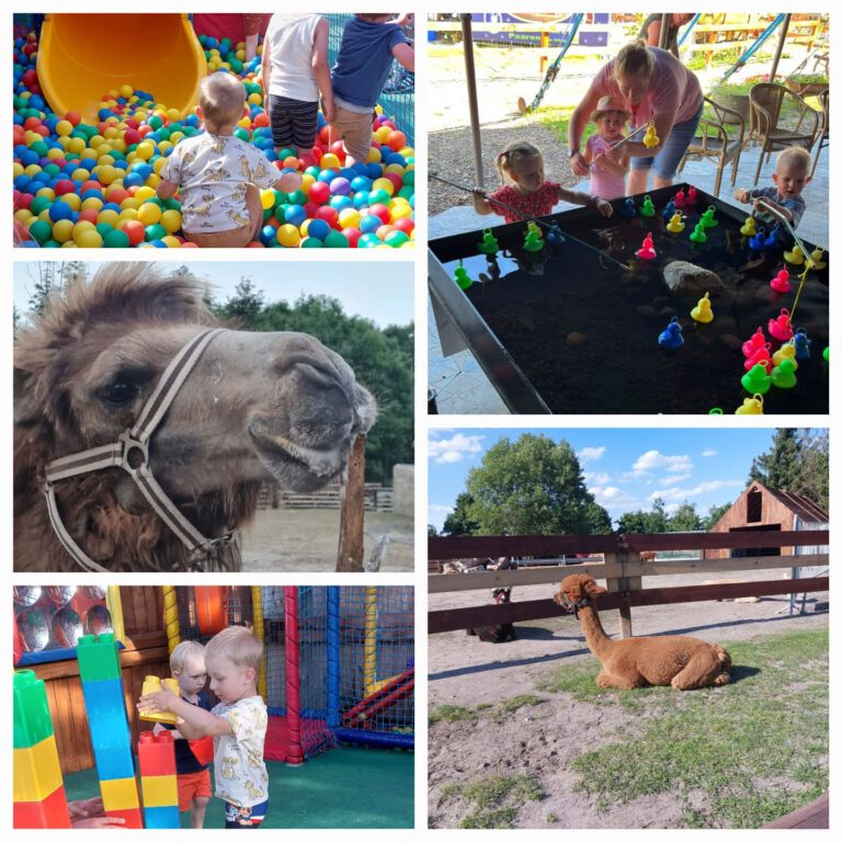 Abschlussfest der Handballkrümel und Minies